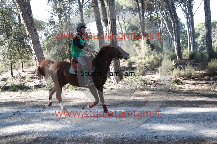 MAT_0507.JPG