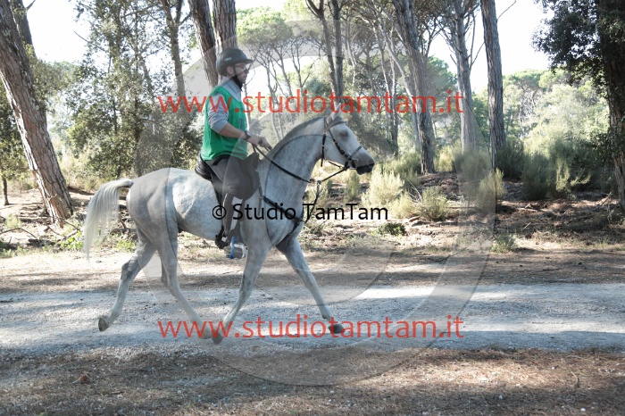 MAT_0522.JPG