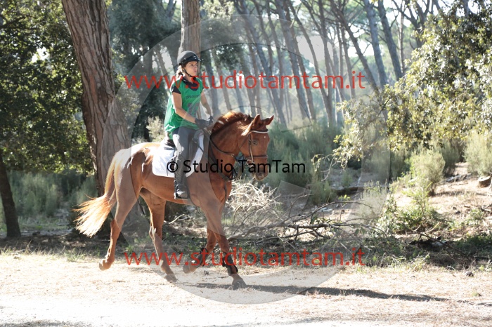 MAT_0623.JPG