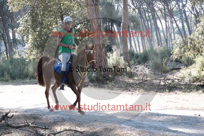 MAT_0643.JPG