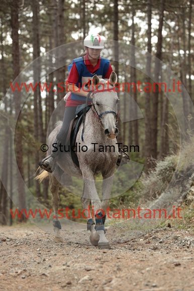 MAT_8011.JPG