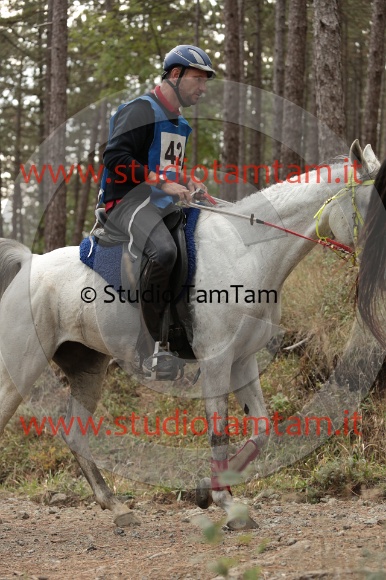 MAT_8019.JPG