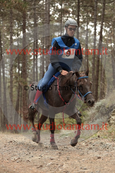 MAT_8048.JPG