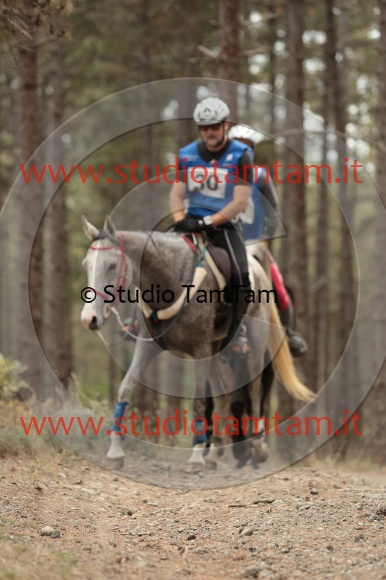 MAT_8084.JPG