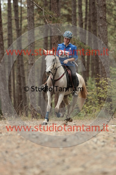 MAT_8153.JPG