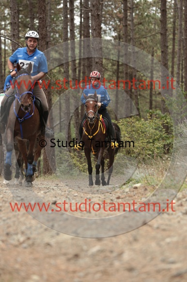 MAT_8172.JPG