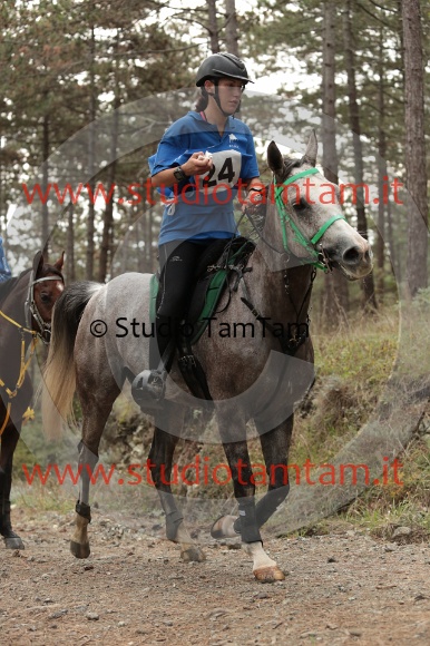 MAT_8180.JPG