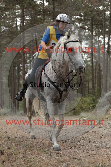 MAT_8568.JPG