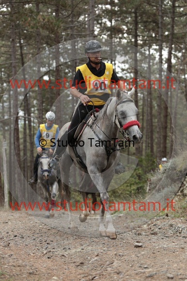 MAT_8619.JPG