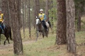 MAT_8796