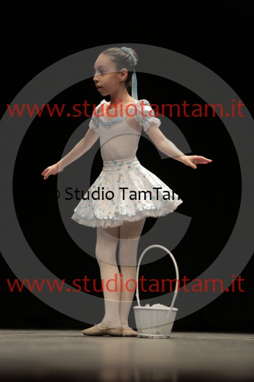 MAT_2664.JPG
