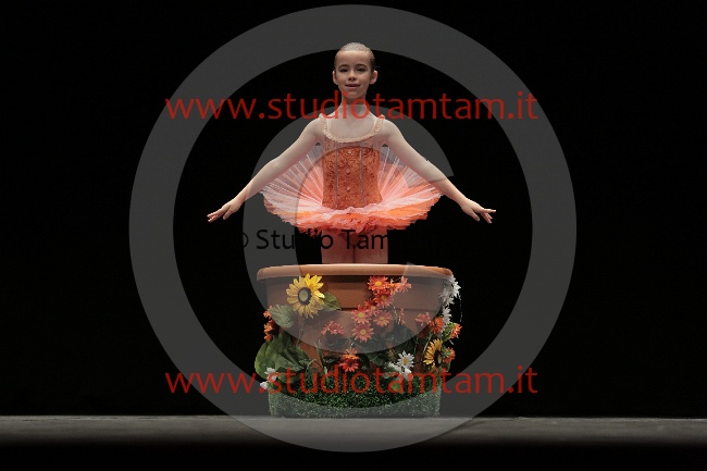 MAT_2713.JPG
