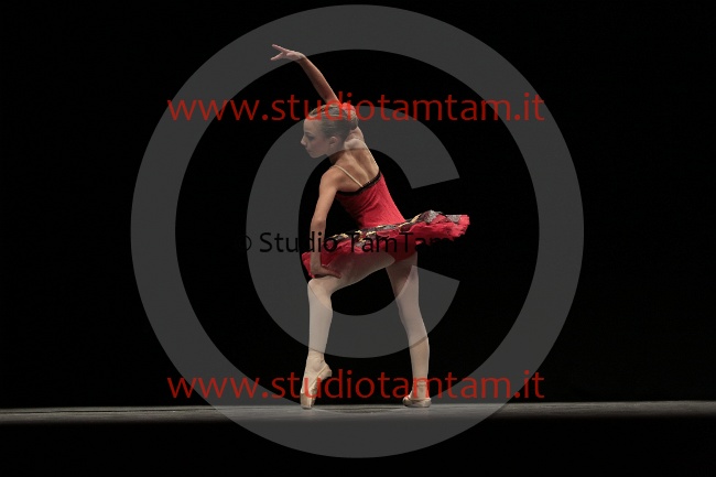 MAT_2758.JPG