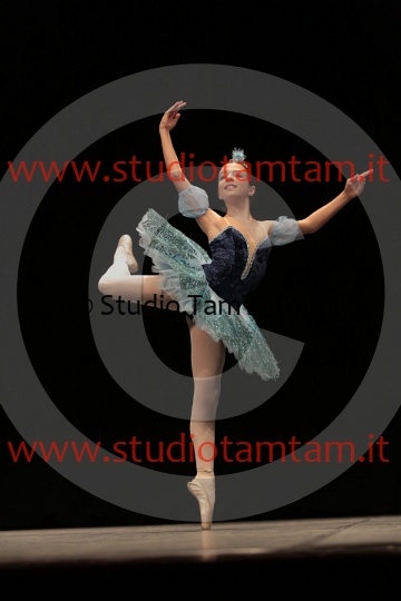 MAT_2909.JPG