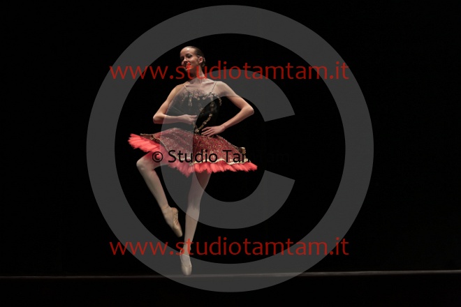 MAT_2990.JPG