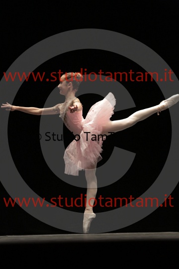 MAT_3417.JPG