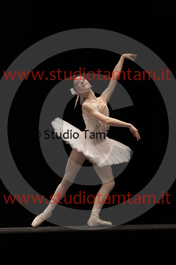 MAT_3552.JPG