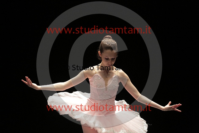 MAT_3842.JPG