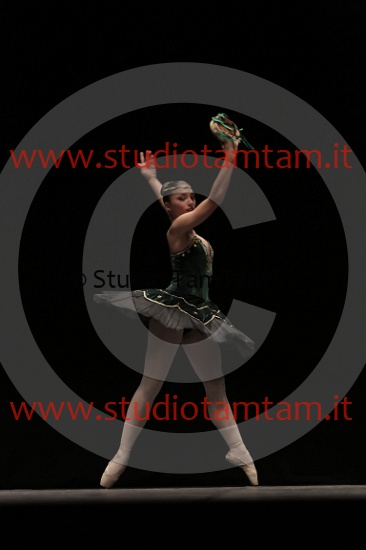 MAT_3849.JPG
