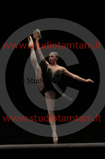 MAT_3850.JPG