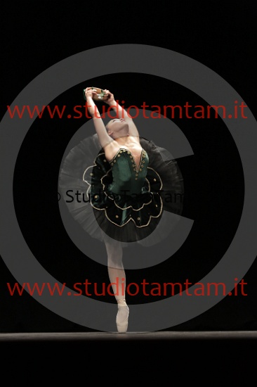 MAT_3854.JPG