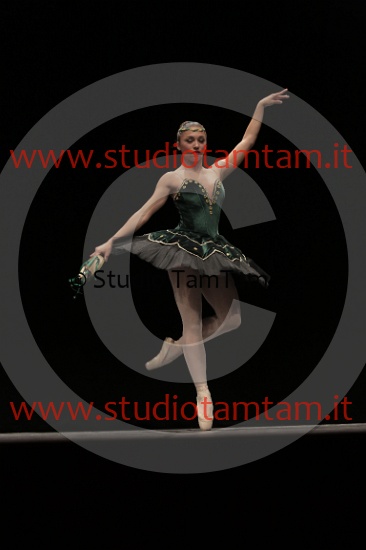 MAT_3855.JPG