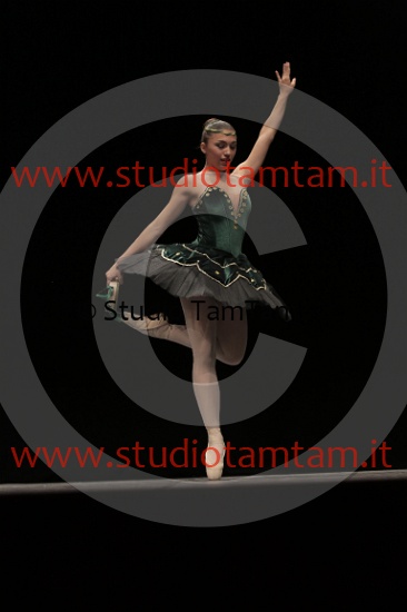 MAT_3856.JPG