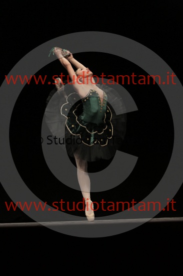 MAT_3857.JPG