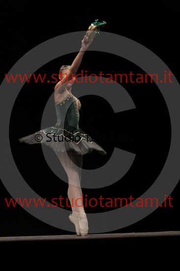 MAT_3858.JPG