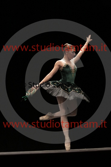 MAT_3860.JPG