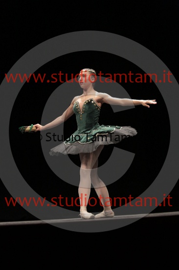 MAT_3863.JPG