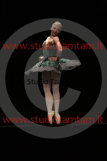 MAT_3867.JPG