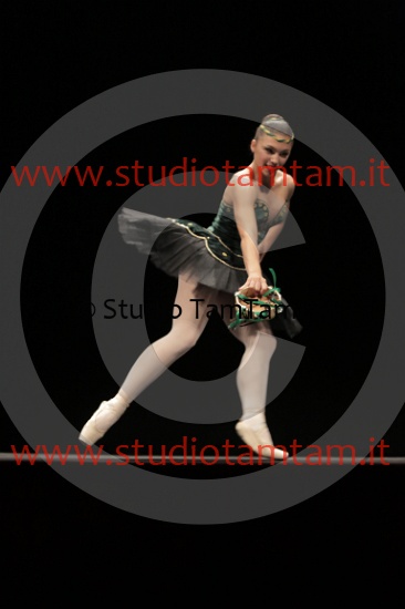 MAT_3869.JPG