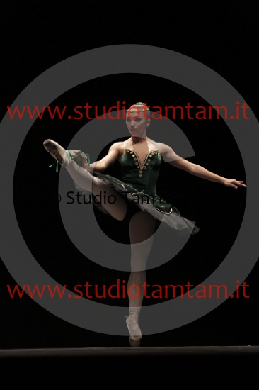 MAT_3871.JPG
