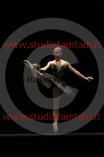 MAT_3872.JPG