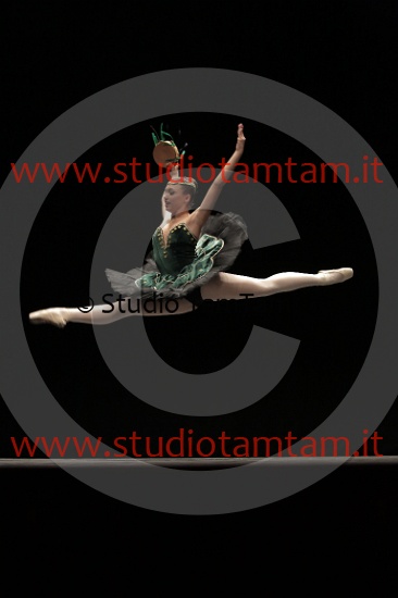 MAT_3873.JPG