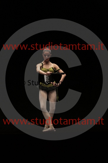 MAT_3895.JPG