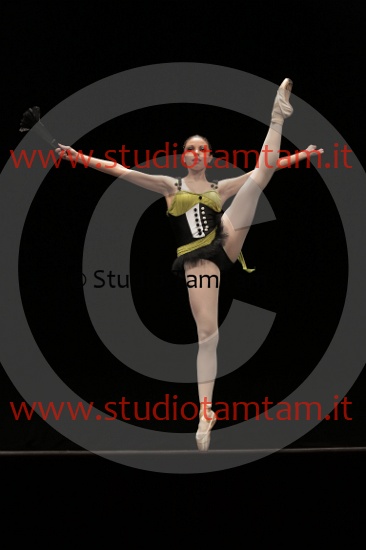 MAT_3904.JPG