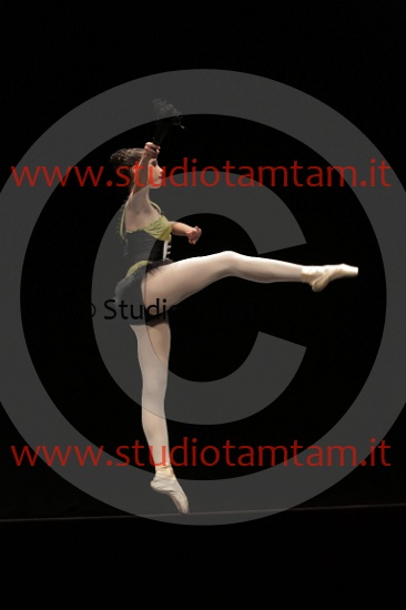 MAT_3905.JPG
