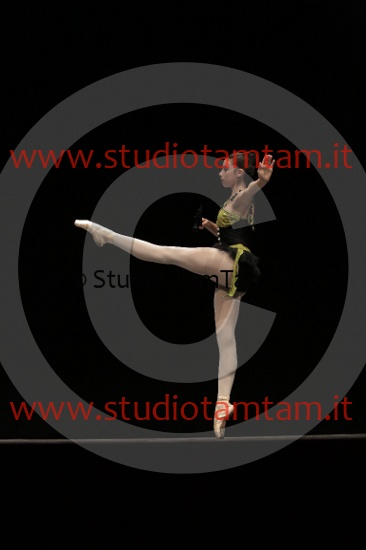 MAT_3909.JPG