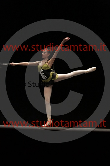 MAT_3917.JPG