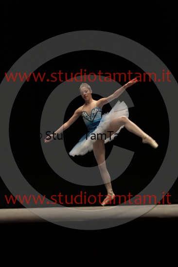 MAT_3925.JPG