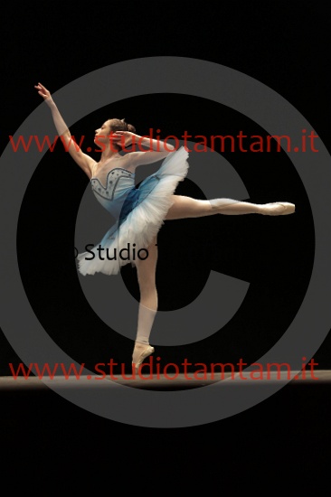 MAT_3928.JPG