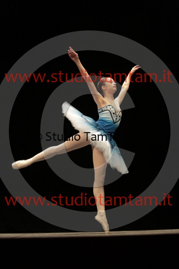MAT_3940.JPG