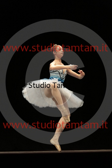 MAT_3942.JPG