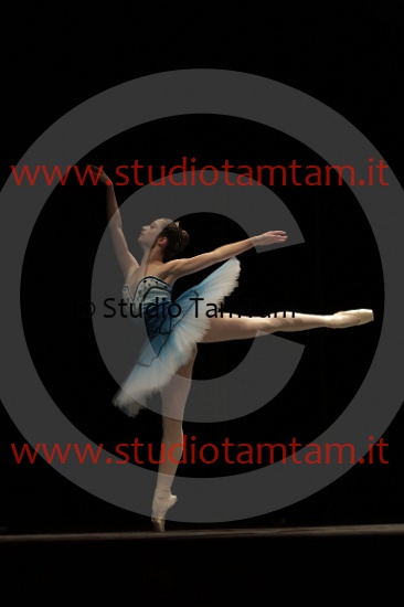 MAT_3945.JPG