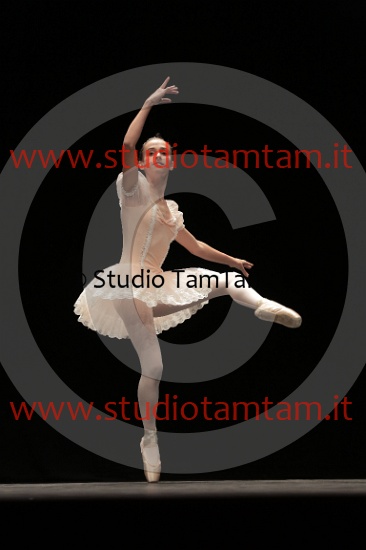 MAT_3982.JPG