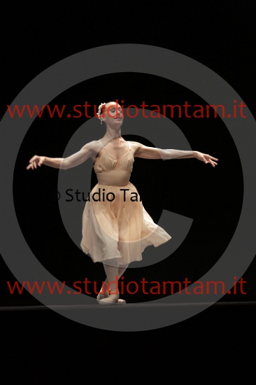 MAT_4010.JPG