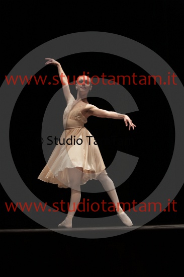 MAT_4013.JPG