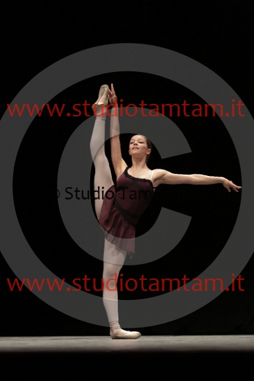MAT_4054.JPG